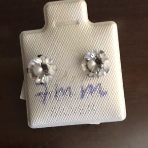 Stainless steel earrings